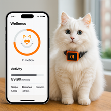 Lade das Bild in den Galerie-Viewer, KittyFind GPS Collar
